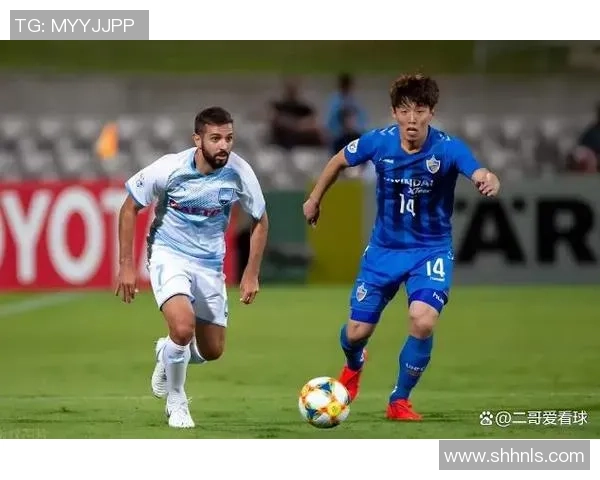 南京排球队节奏表现数据分析揭示战术优势与提升空间